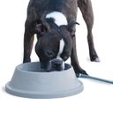 K&H Pet Products Thermal-Bowl Plastic Dog & Cat Bowl, 32-oz