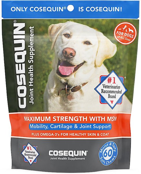 Nutramax Cosequin Max Strength with MSM Plus Omega 3's Soft Chews Joint Supplement for Dogs, 60 count slide 1 of 9
