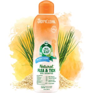 TropiClean Natural Flea & Tick Plus Soothing Dog Shampoo, 20-oz bottle