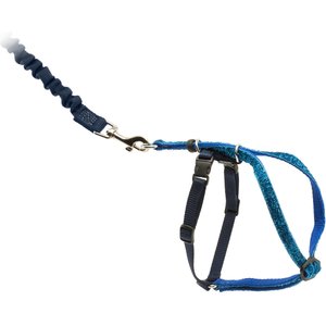 PetSafe Come With Me Kitty Glitter Nylon Cat Harness & Bungee Leash, Blue, Medium: 10.5 to 14-in chest