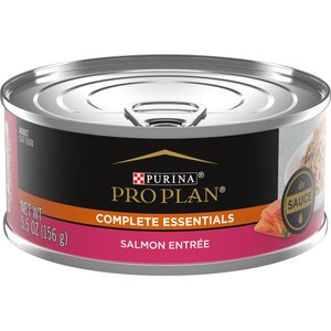 Purina Pro Plan Adult Salmon Entree in Sauce Canned Cat Food, 5.5-oz, case of 24