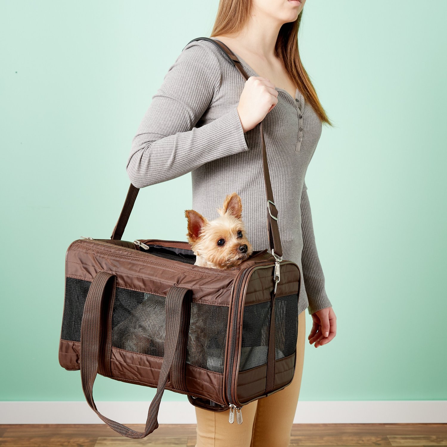 travel bag for dog airline approved