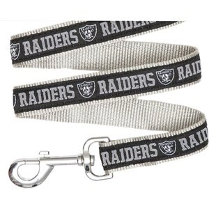 Pets First NFL Nylon Dog Leash, Oakland Raiders, Large: 6-ft long, 1-in wide