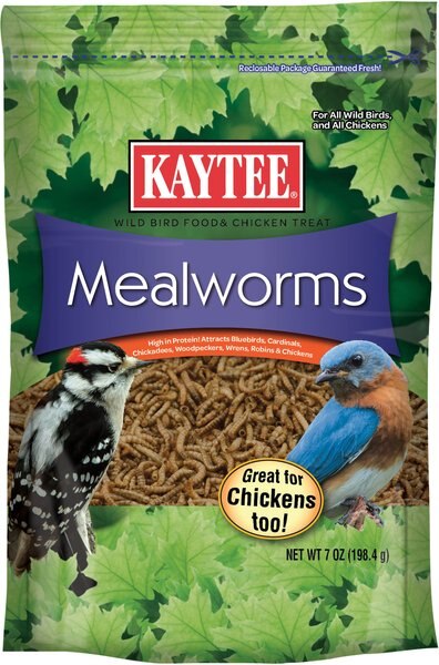 Kaytee Meal Worm Wild Bird Food, 7-oz bag slide 1 of 7