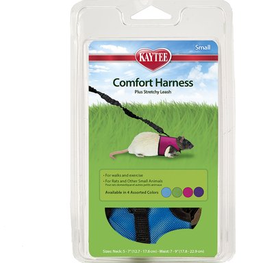 Kaytee Small Animal Harness & Stretchy Leash, Color Varies, slide 1 of 1