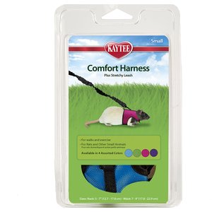 Kaytee Small Animal Harness & Stretchy Leash, Small, Color Varies