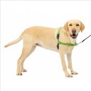 PetSafe Easy Walk Dog Harness, Apple Green, Large