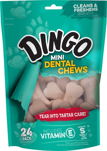 DINGO Mini Dental Chew Dog Treats, 24 