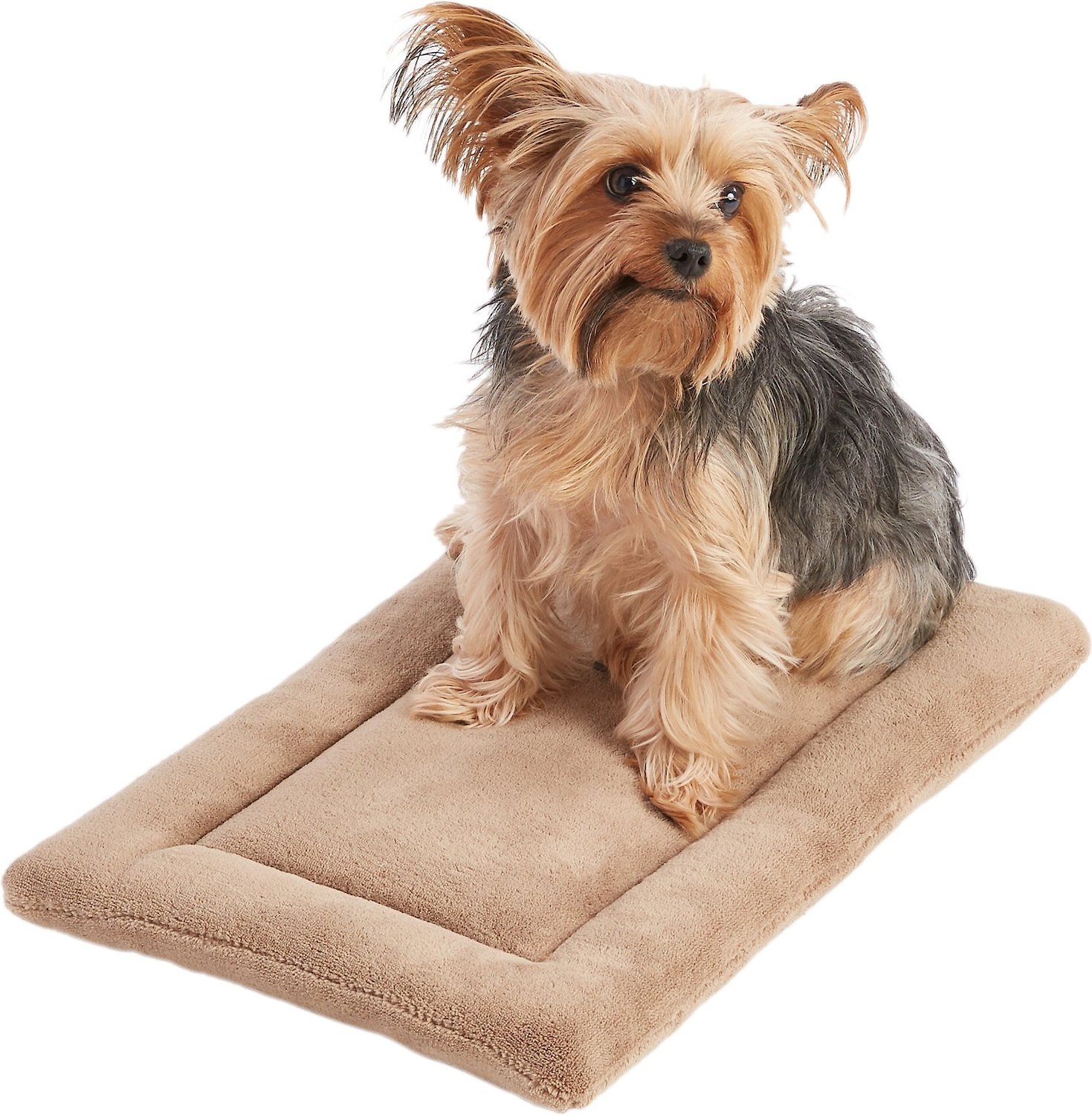 Frisco Micro Terry Pet Bed & Crate Mat, Taupe, 18-in - Chewy.com