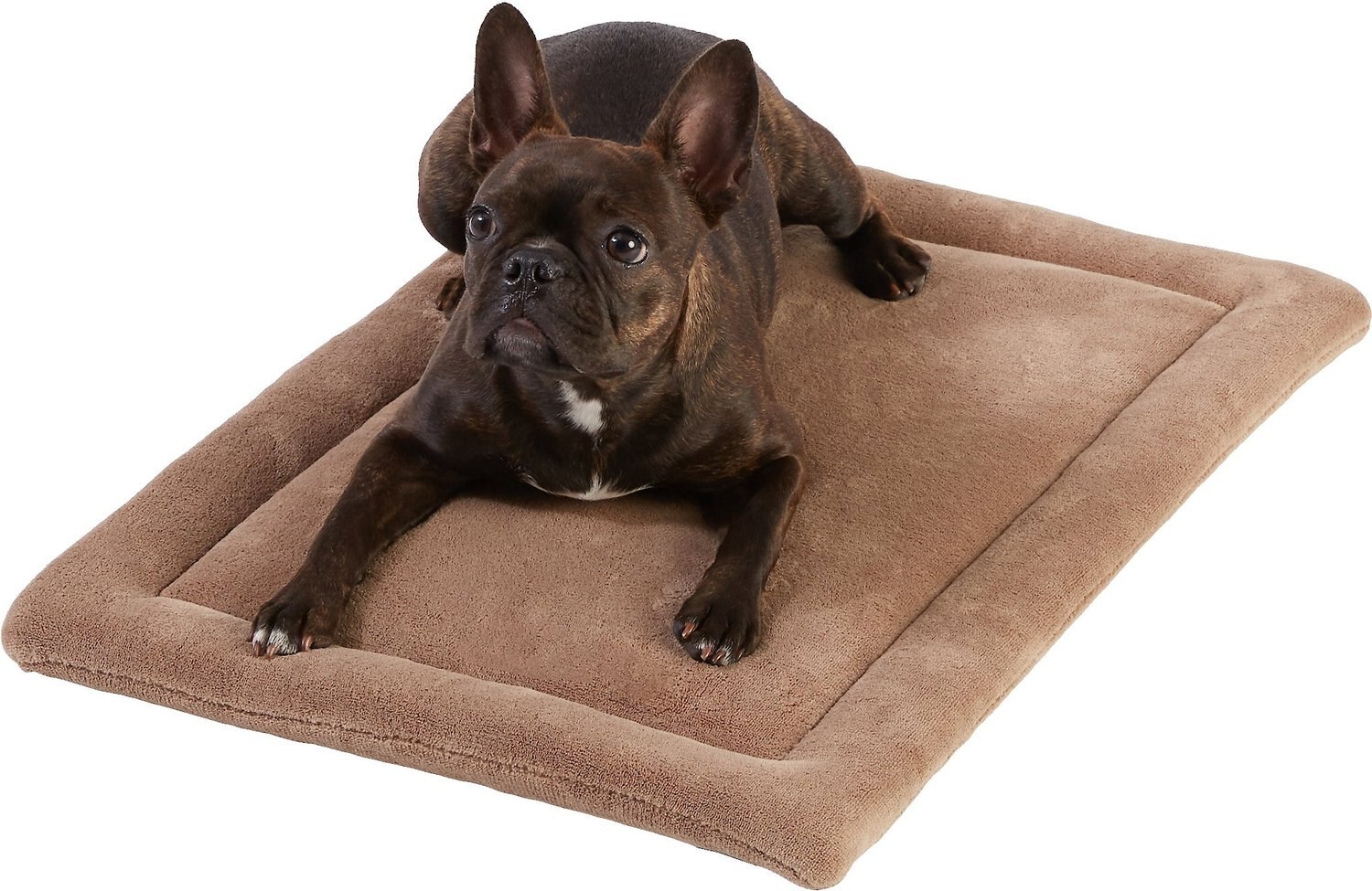 FRISCO Micro Terry Dog Crate Mat, Taupe, 24-in - Chewy.com