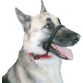 Sporn Head Control Dog Halter, Black, Large