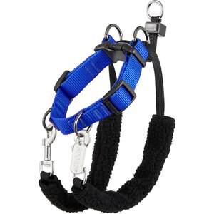 Sporn Training Halter Nylon No Pull Dog Harness, Blue, Small: 9 to 12-in neck