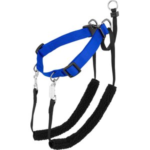 Sporn Training Halter Nylon No Pull Dog Harness, Blue, Large: 16 to 24-in neck