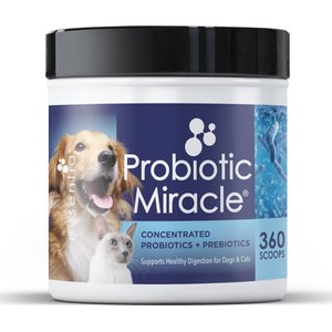 Nusentia Probiotic Miracle Premium Blend