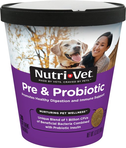 Nutri-Vet Pre & Probiotics Soft Chews Digestive Supplement for Dogs, 120 count slide 1 of 9