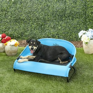 Gen7Pets Cool-Air Cot Elevated Dog Bed, Trailblazer Blue, Medium