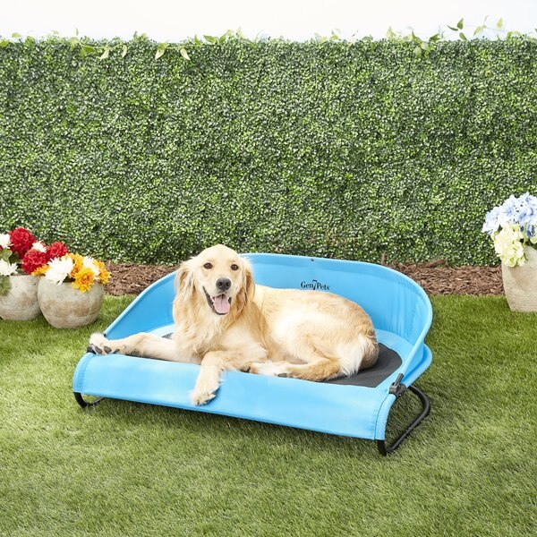 Gen7Pets Cool-Air Cot Elevated Dog Bed, Trailblazer Blue, Large slide 1 of 11