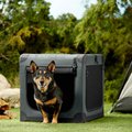 Frisco Dog and Small Pet indoor & Outdoor 3-Door Collapsible Soft -Sided Crate, Dark Gray, 26 inch