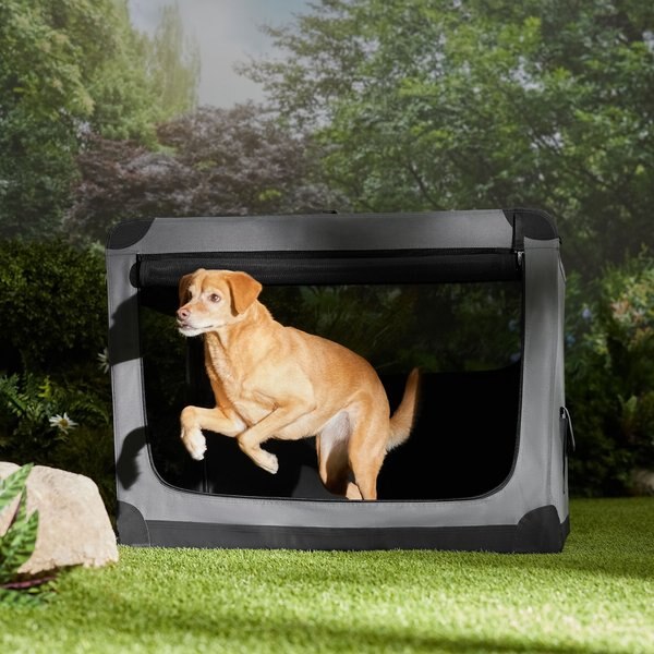 Frisco Dog & Small Pet indoor & Outdoor 3-Door Collapsible Soft -Sided Crate, Dark Gray, 42 inch slide 1 of 11