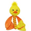 Jolly Pets Flathead Duck Dog Toy, Large