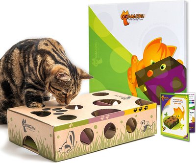 Cat Amazing Interactive Treat Maze & Puzzle Cat Toy, slide 1 of 1
