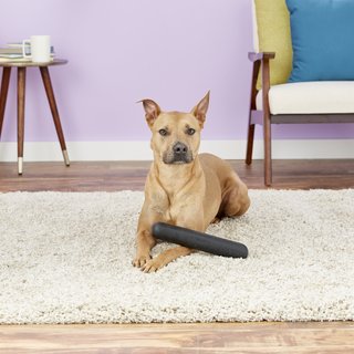 dog toy that sticks to floor