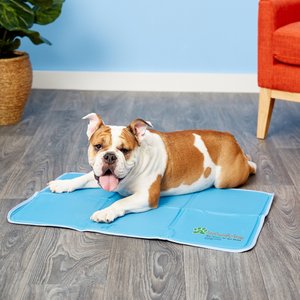 bull dog laying on a cooling mat on floor