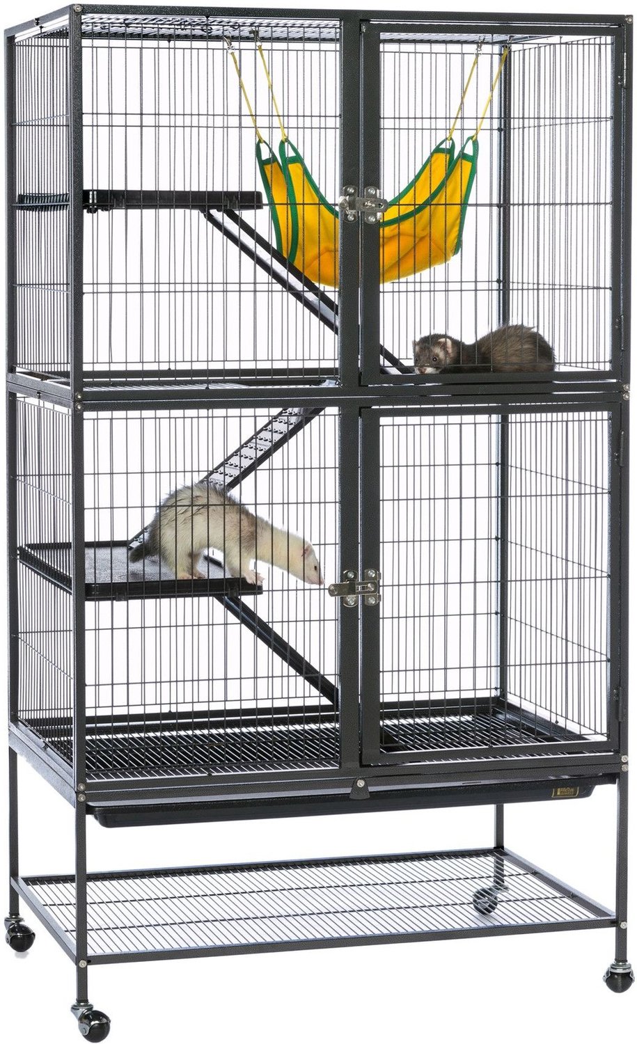 Get e-book Feisty ferret cage For Free