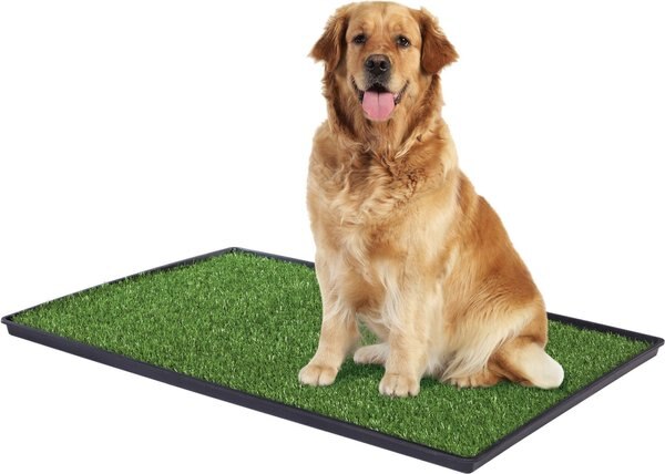 Prevue Pet Products Tinkle Turf System for Dogs, Large slide 1 of 8