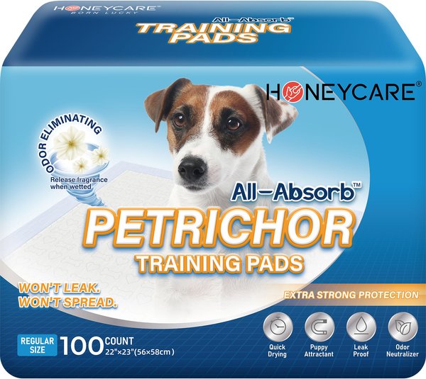 All-Absorb Super Absorbent Dog Training Pads, 22 x 23-in, 100 count, Unscented slide 1 of 5