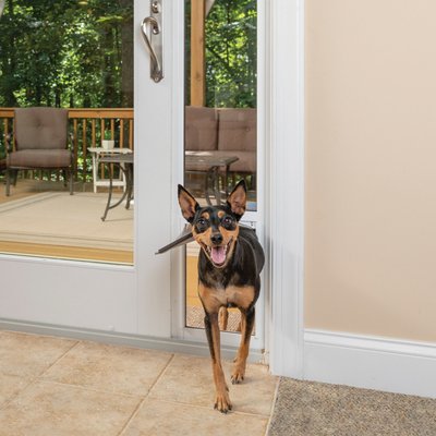Petsafe Freedom Patio Pet Doors For, Doggie Door For Sliding Glass Door Large Dog