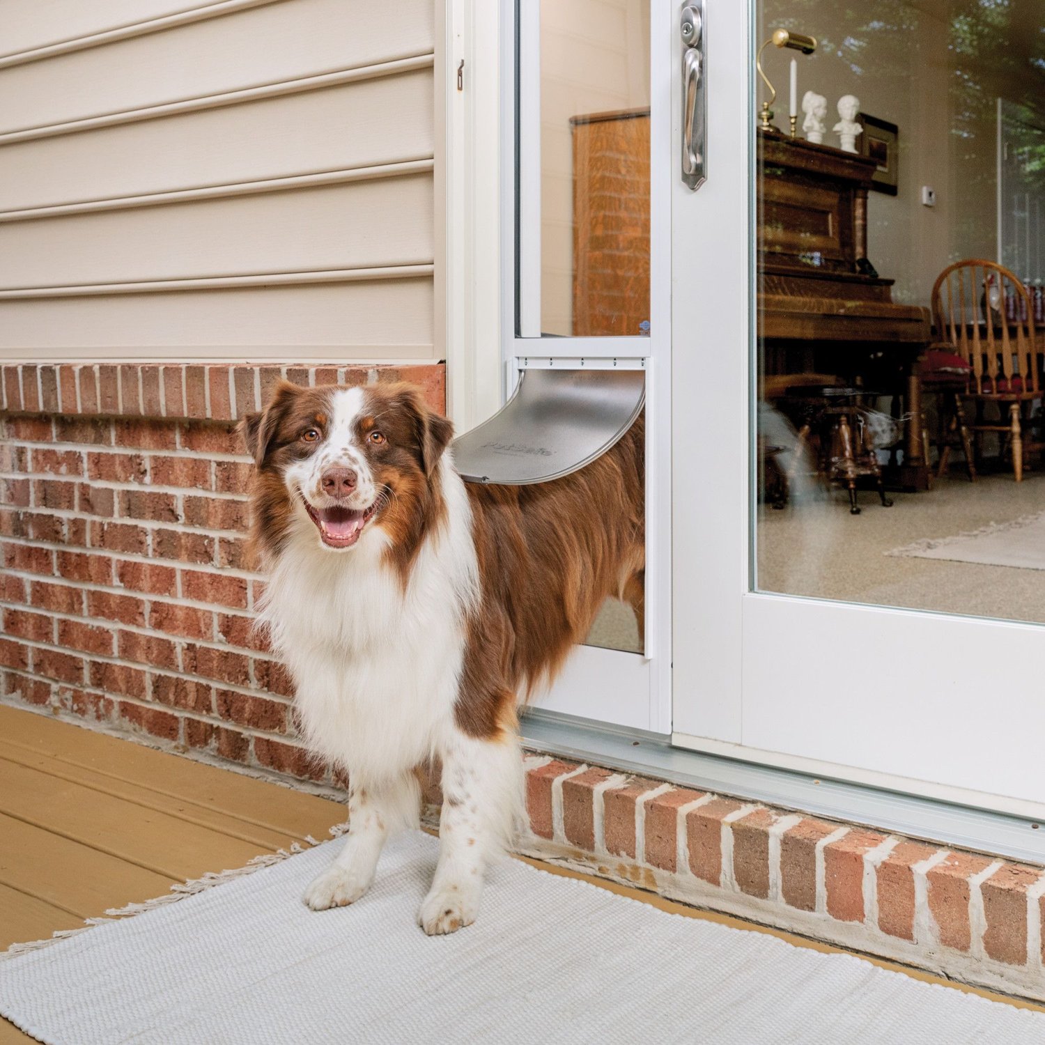 Amazon.com : PETLESO Dog Screen Door, Dog Door for Sliding Door Screen Door  for Large Dog, Inner Size 12