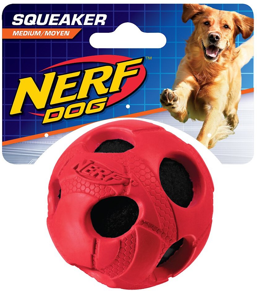 indestructible squeaky ball for dogs