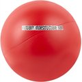 The Virtually Indestructible Ball Dog Toy, Color Varies, 10-in