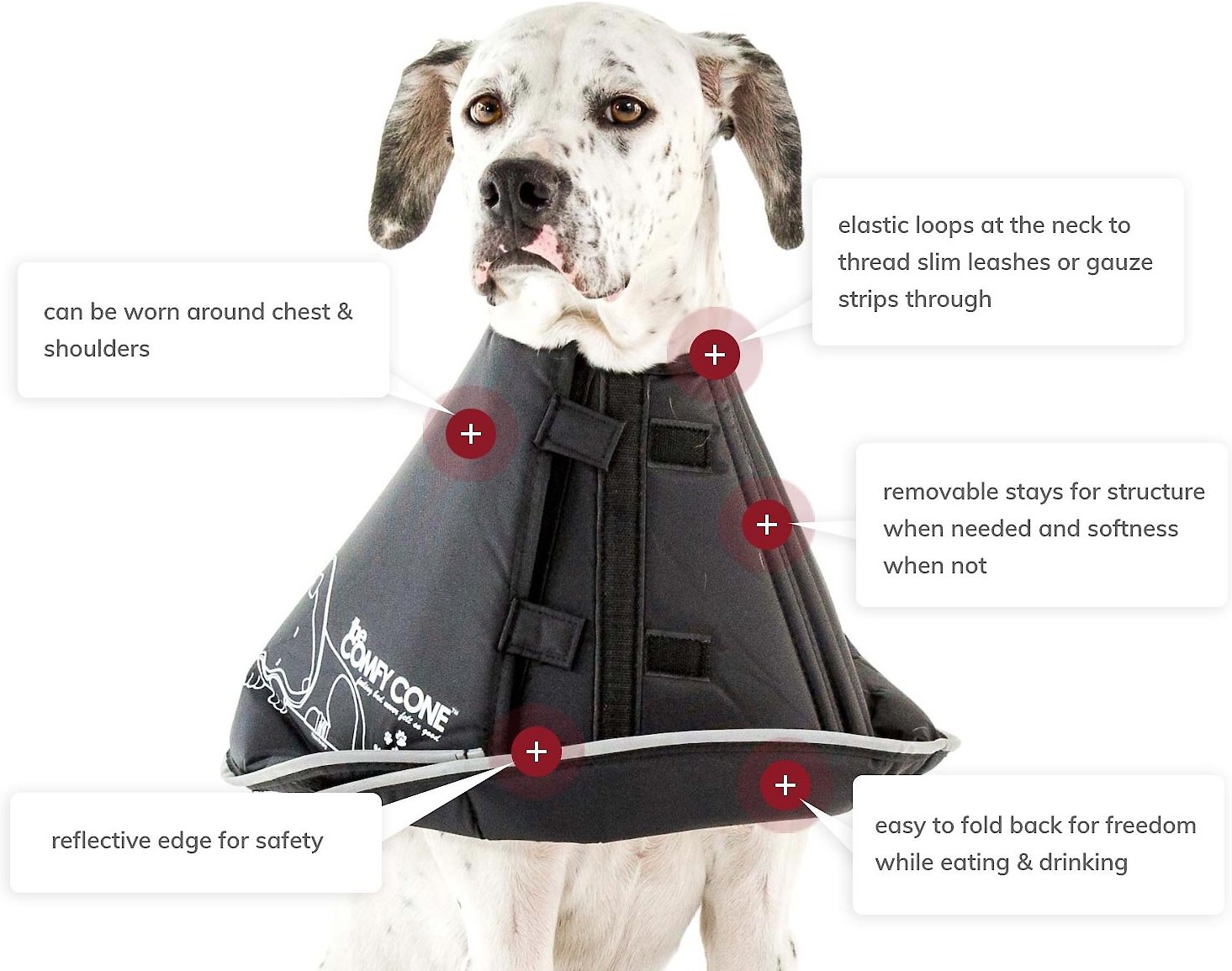 Comfy Cone E-Collar for Dogs \u0026 Cats 