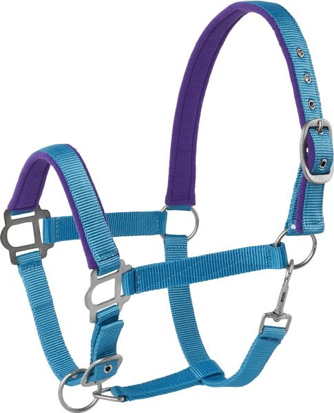 Tough-1 Nylon Padded Halter with Satin Horse Hardware, Turquoise, Yearling slide 1 of 4