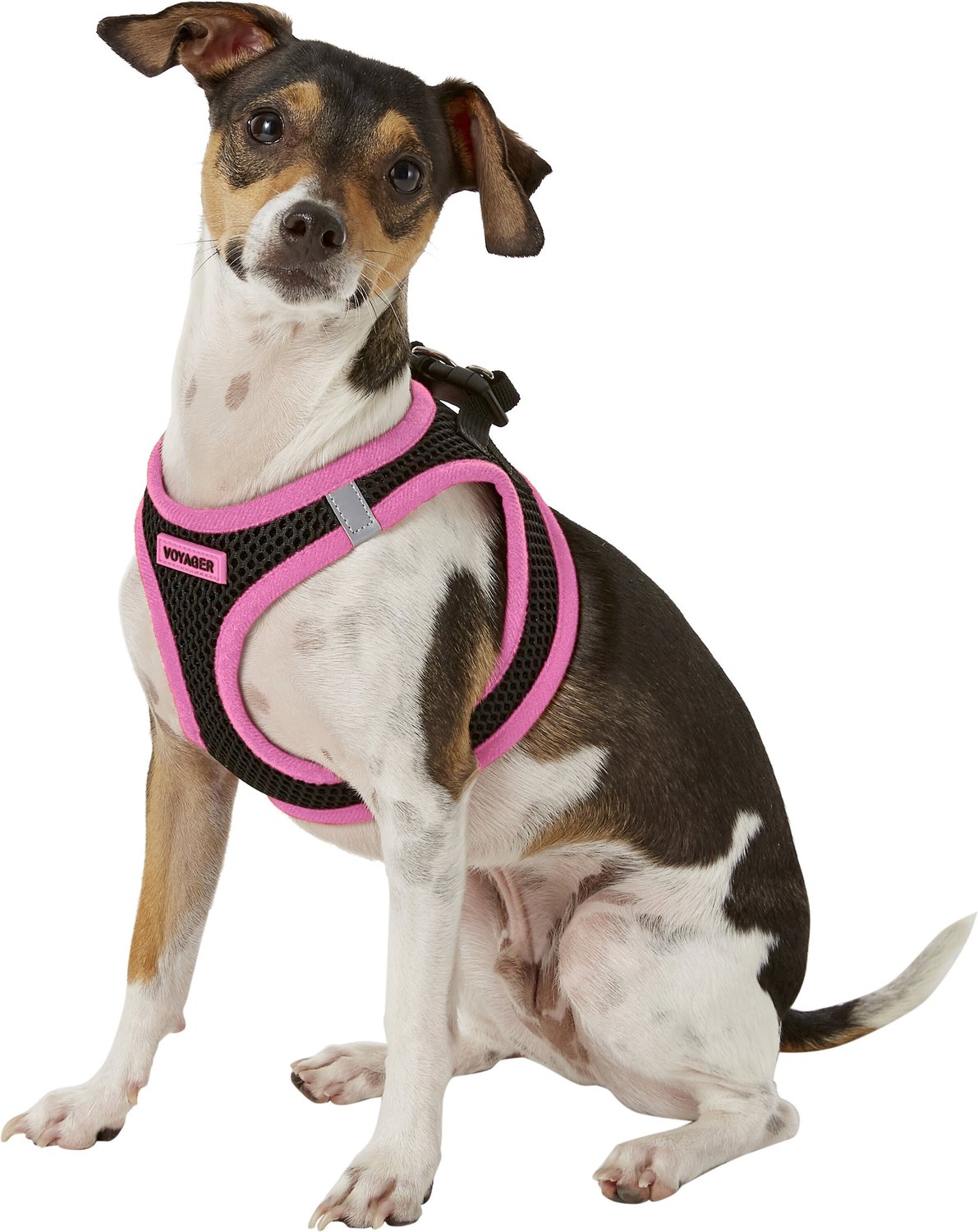 Best Pet Supplies Voyager Black Base Mesh Dog Harness, Pink Trim, Small
