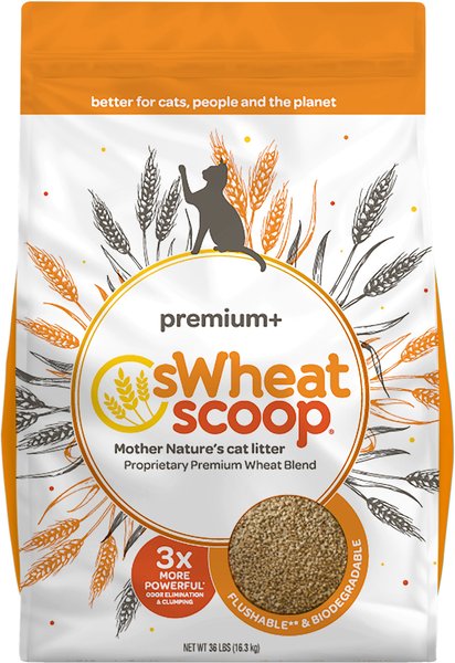 sWheat Scoop Premium+ Unscented Natural Clumping Wheat Cat Litter, 36-lb bag slide 1 of 8