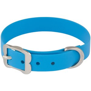 Red Dingo Vivid PVC Dog Collar, Blue, Medium: 13 to 16.5-in neck, 4/5-in wide