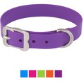 Red Dingo Vivid PVC Dog Collar, Purple, Large: 16 to 20-in neck, 1-in wide
