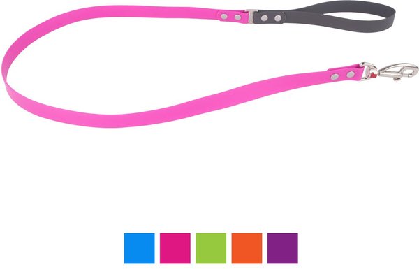 Red Dingo Vivid PVC Dog Leash, Hot Pink, Small: 4-ft long, 5/8-in wide slide 1 of 3