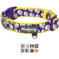Blueberry Pet Floral Prints Polyester Dog Collar, Daisy, Medium: 14.5 to 20-in neck, 3/4-in wide