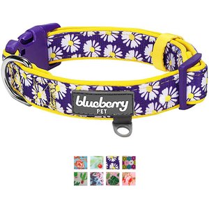 Blueberry Pet Floral Prints Polyester Dog Collar, Daisy, Large: 18 to 26-in neck, 1-in wide