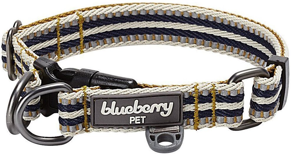 Blueberry Pet 8 Colors 3M Reflective Multi-Colored Stripe Dog Leashes 