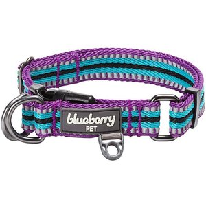 Blueberry Pet 3M Multi-Colored Stripe Polyester Reflective Dog Collar, Violet & Celeste, Medium: 14.5 to 20-in neck, 3/4-in wide