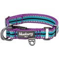 Blueberry Pet 3M Multi-Colored Stripe Polyester Reflective Dog Collar, Violet & Celeste, Large: 18 to 26-in neck, 1-in wide