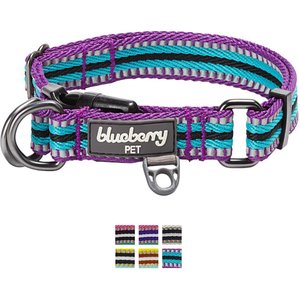 Blueberry Pet 3M Multi-Colored Stripe Polyester Reflective Dog Collar, Violet & Celeste, Large: 18 to 26-in neck, 1-in wide