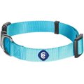 Blueberry Pet Classic Solid Nylon Dog Collar, Turquoise, X-Small: 8 to 11-in neck, 3/8-in wide