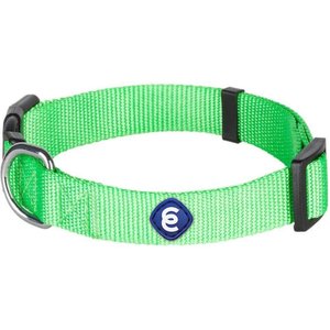 Blueberry Pet Classic Solid Nylon Dog Collar, Neon Green, X-Small: 8 to 11-in neck, 3/8-in wide