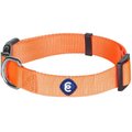 Blueberry Pet Classic Solid Nylon Dog Collar, Florence Orange, Small: 12 to 16-in neck, 5/8-in wide
